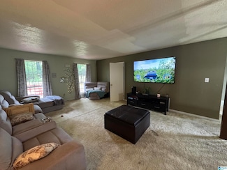 900 Live Oak Cir, Fairfield, AL 35064