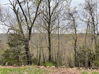 27 Cypress Point Ln, Eureka Springs, AR 72631