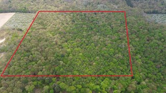 V/L 40A W Pierce Rd, Shelby, MI 49455