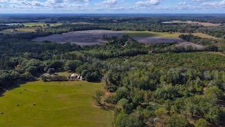 0 County Road 3324 Unit 28059, Brundidge, AL 36010