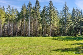 410 E Delanty Rd, Shelton, WA 98584