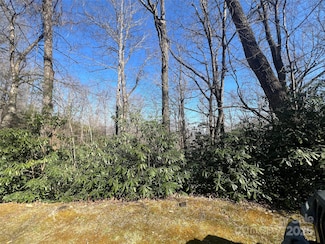 0000 Reserve Rd, Pisgah Forest, NC 28768