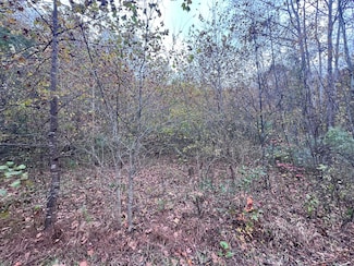 99999 Kentucky 317 Unit ROCKHOUSE, Fleming-Neon, KY 41810