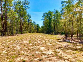 5 AC South Dr, Defuniak Springs, FL 32433