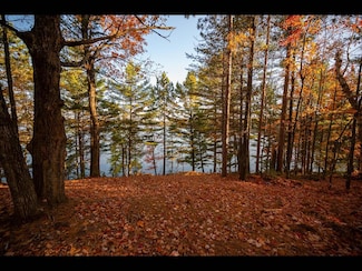 Lot 135 Clearwater Lake Trail, Three Lakes, WI 54521