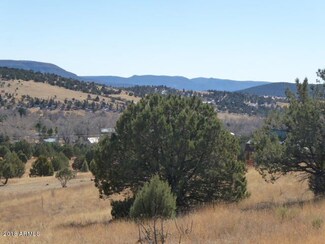 257 N Turner Hill Rd, Young, AZ 85554