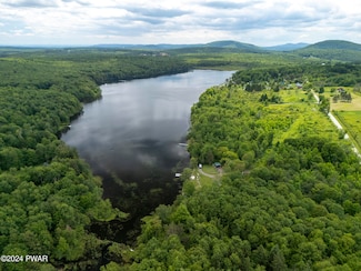 Lot R-C2 Spruce Lake Rd, Thompson, PA 18465