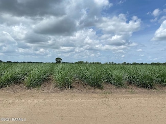 Tbd La Hwy 338, Abbeville, LA 70510