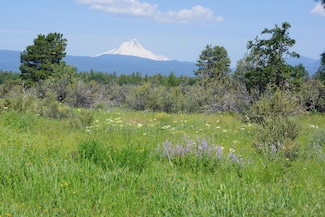 55100 Smock Rd, Tygh Valley, OR 97063