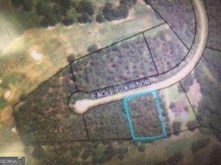 0 Eagle Ct Unit 30 10477350, Ashburn, GA 31714