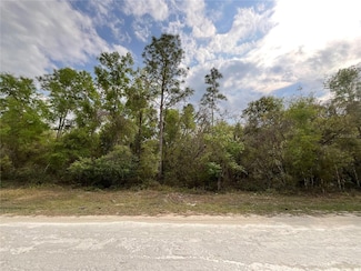 0 Forge Unit MFRG5094728, Webster, FL 33597