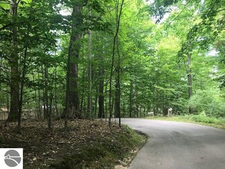 20 & 21 Vantage Pointe the Homestead, Glen Arbor, MI 49636