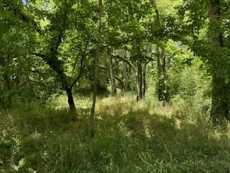 0 Highway 41a S, Shelbyville, TN 37160