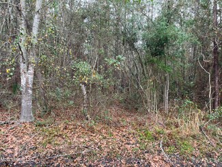 0 8th St Unit 4106514, Bay Saint Louis, MS 39520
