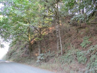 0 NW Old Railroad Grade Rd, Yamhill, OR 97148