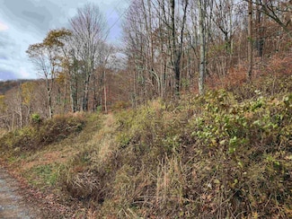 20 E Meadows Rd, Harman, WV 26270