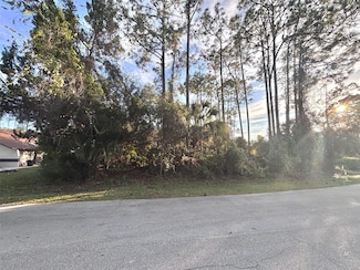 80 Raemoor Dr, Palm Coast, FL 32164