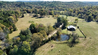 000 Carter 111, van Buren, MO 63965