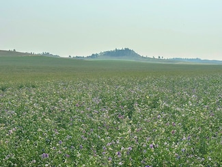 0 Valentine Rd, Roy, MT 59471