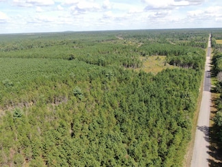 40 AC Browndeer Dr E Acres, Arkdale, WI 54613