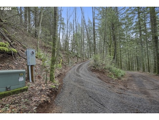 0 Kueffler Rd Unit 23614898, Skamania, WA 98648
