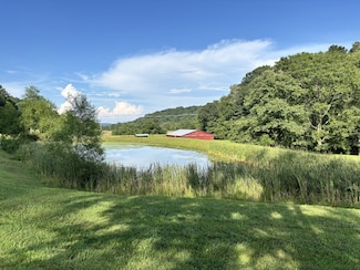 3807 Bear Creek Rd, Thompsons Station, TN 37179