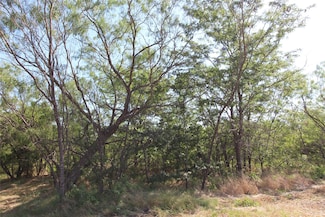 TBD Lot 7 Fm 2860, Kaufman, TX 75142