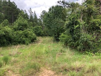 109 Country Way, Trenton, SC 29847