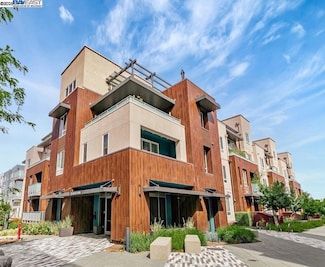 2359 Halogen Common Unit 209, Fremont, CA 94539
