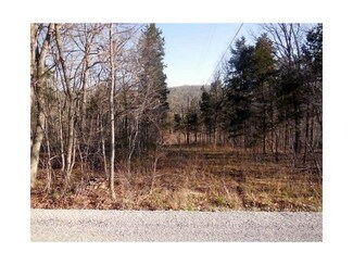 200 Parksley, Kirbyville, MO 65679