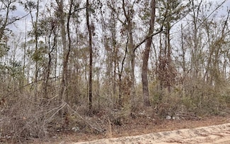 LOT25 NW Evergreen Oak Place, Jennings, FL 32053