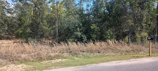 164 Guava Pass, Silver Springs Shores East, FL 32179