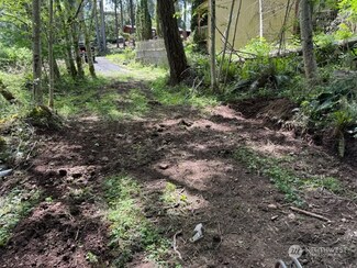 101 E Errigal Place, Shelton, WA 98584