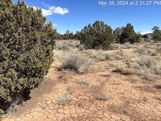1014 E Laramie Dr Unit 235, Williams, AZ 86046