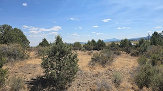 0 Cuni St Unit 6100, Chiloquin, OR 97624