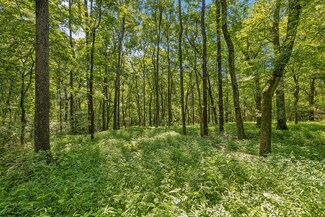 0 Brown Hollow Rd, Columbia, TN 38401