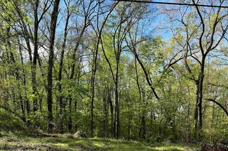 00 Waterford Dr, Muscle Shoals, AL 35661
