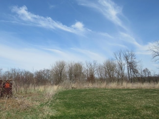 4-60267 Century Dr, Lagrange Township, MI 49031