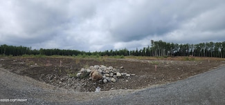 13384 W Exclibur Cir, Houston, AK 99694