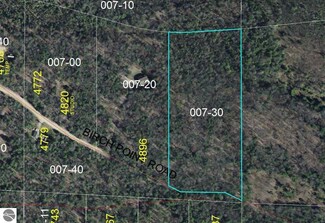 000 Birch Point Rd, Beulah, MI 49617