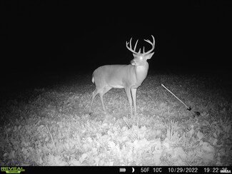 000 E Clay Rd, Noble, IL 62868