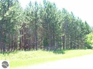 Lot C S Sharon Rd, Fife Lake, MI 49633