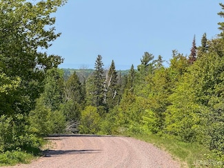 TBD (Lot E) Gratiot River Rd, Allouez Township, MI 49805