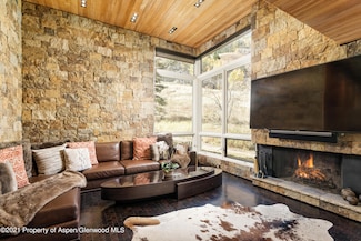 800 S Monarch St Unit 4, Aspen, CO 81611