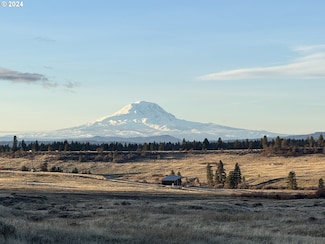 0 Lipo Rd Unit 24463095, Centerville, WA 98613