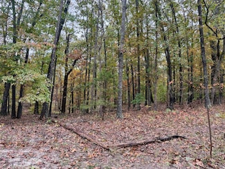 000 Spout Spring Rd, Fordland, MO 65652