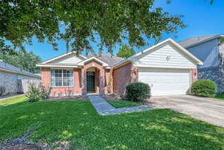 13914 Grafton Bridge Ln, Houston, TX 77047