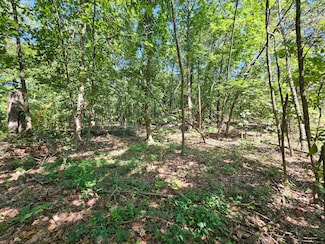 65 Acres Plainview Rd, Anderson, MO 64831