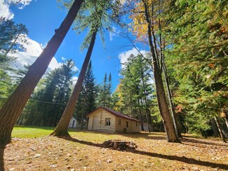 1330 Cauchy Rd, Mio, MI 48647