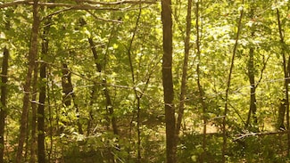 Lot 3 Booth Creek Rd, Williford, AR 72482